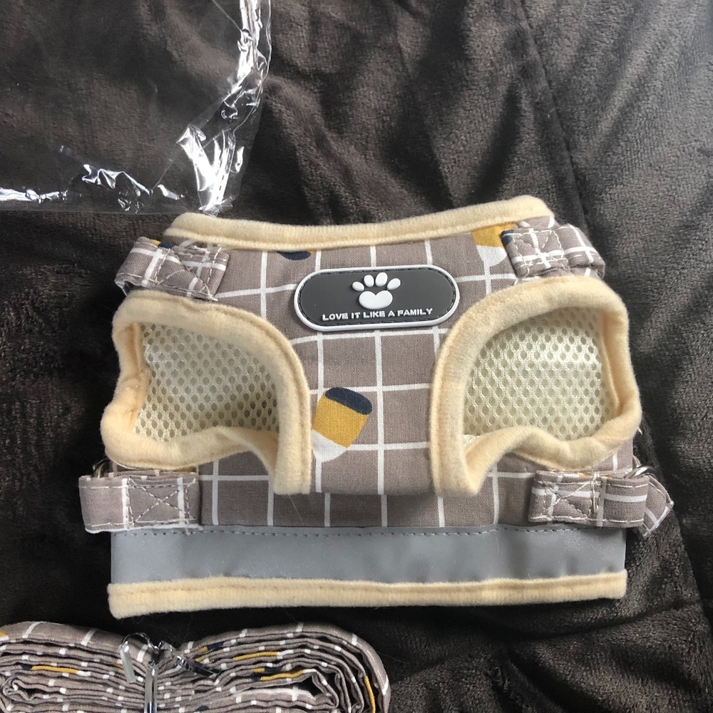 Cat or dog harness with a leash.